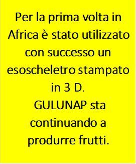 Per la prima volta in Africa è stato utilizzato con successo un esoscheletro stampato in 3 D. GULUNAP sta continuando a produrre frutti. 